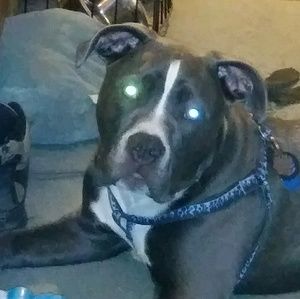 Meet your Posher, Julia